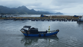 中央企业形象片《我们的路》震撼发布